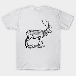 Red deer T-Shirt